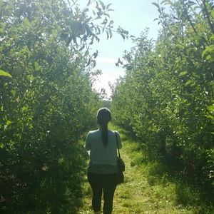 Meet your Posher, Grace